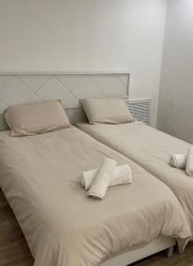 two beds sitting next to each other in a room at Petit Paradis au cœur de Jérusalem in Jerusalem