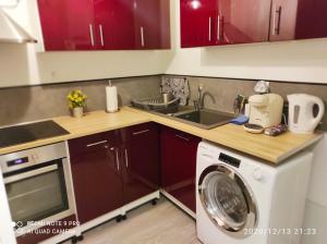 uma cozinha com uma máquina de lavar roupa e um lavatório em Appartement idéal visite de Paris em Ivry-sur-Seine