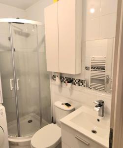 La salle de bains est pourvue d'une douche, de toilettes et d'un lavabo. dans l'établissement SUPER 2 PIECES A 10 MINUTES DE PARIS, à Bonneuil-sur-Marne