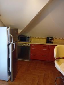 a kitchen with a refrigerator and a microwave at Orkana44F in Mszana Dolna