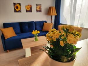 Gallery image of Apartament Bałtycka Sardynka in Ustka