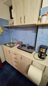 a kitchen counter with a stove and a sink at Ultracentral Lozonschi Apartament Parter in Iaşi