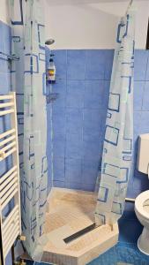 La salle de bains bleue est pourvue d'une douche et de toilettes. dans l'établissement Ultracentral Lozonschi Apartament Parter, à Iaşi