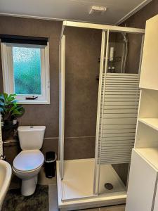 een badkamer met een douche, een toilet en een wastafel bij Bos chalet “relaxed” in Doornspijk
