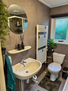 een badkamer met een wastafel, een toilet en een spiegel bij Bos chalet “relaxed” in Doornspijk