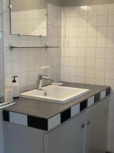 een badkamer met een wastafel en een spiegel bij Les hyacinthes 2 in Sarlat-la-Canéda