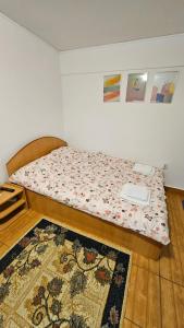 a bed in a room with a rug on the floor at Ultracentral Lozonschi Apartament Parter in Iaşi