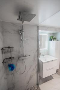 a bathroom with a shower and a sink at Maison Zola in Fleury-les-Aubrais