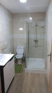 a bathroom with a shower and a toilet and a sink at Gala T1+ in Figueira da Foz