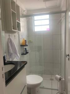 ein Bad mit einer Dusche, einem WC und einem Waschbecken in der Unterkunft Apartamento térreo próximo ao Shopping Iguatemi in Votorantim