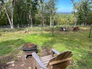 een grill en een bank in een veld met koeien bij Sweet Hill Glamping in Rhinebeck