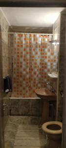 a bathroom with a shower with a toilet and a sink at Apartament în regim Hotelier in Cavnic