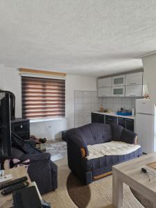 ein Wohnzimmer mit einem Sofa und einer Küche in der Unterkunft Mountain Home Paravci in Čajniče