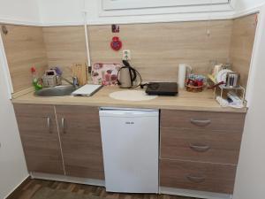 a kitchen with a sink and a white dishwasher at MBM Apartments 1 in Sarajevo +1 photo