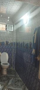 a bathroom with a toilet and a shower at Welkom ketama when hassan in Ketama