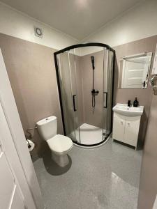 a bathroom with a shower and a toilet and a sink at Wygodny domek na terenie prywatnym in Wrocław