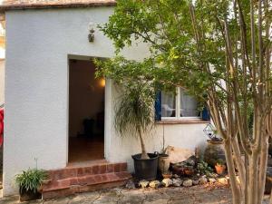 a door to a house with a tree in it at Mazet avec jardin in Saint-Bauzille-de-Putois