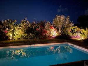 a swimming pool in front of a garden at night at Bungalow jardin tropical - piscine in Saint-François