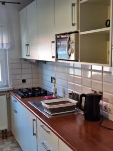 a kitchen with a sink and a microwave at Mieszkanie Dalia in Karwia