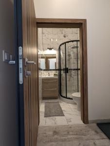 W łazience znajduje się prysznic, toaleta i lustro. w obiekcie Apart hotel in Downtown of Krakow w Krakowie