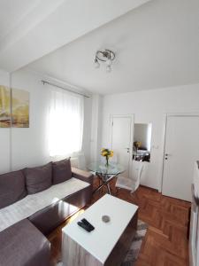 ein Wohnzimmer mit einem Sofa und einem Tisch in der Unterkunft Stan na dan Sanja in Novi Sad
