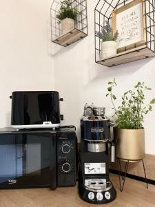 Dapur atau dapur kecil di Vila Zornička