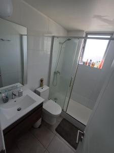 a bathroom with a shower and a toilet and a sink at Departamento Ines de Suarez, La Florida in Santiago