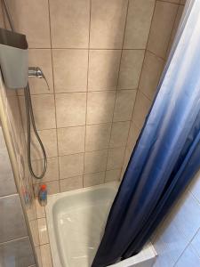 a shower with a blue shower curtain in a bathroom at Vár-Lak Apartman in Balatonfůzfő