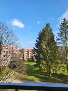 una vista da una finestra di un albero e un edificio di Rosenhirsch Ferienwohnung ad Altenau