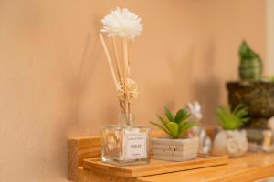 Fotografie z fotogalerie ubytování Cozy Renting Hospedaje v destinaci Santa Rosa de Copán