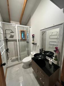 a bathroom with a shower and a toilet and a sink at Casa en el bosque-tinaja in Puerto Octay