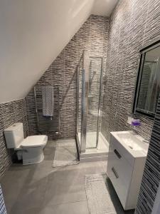 a bathroom with a toilet and a shower and a sink at Luxurious Five-Bedroom Haven in Long Stanton
