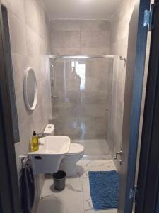 a bathroom with a shower and a toilet and a sink at Poppy Court in Marsaskala