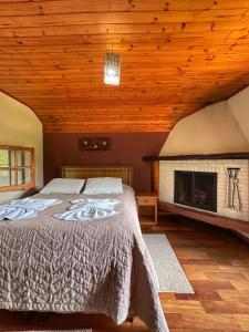 1 dormitorio con 1 cama y chimenea en Hotel Pião Mineiro, en Monte Verde