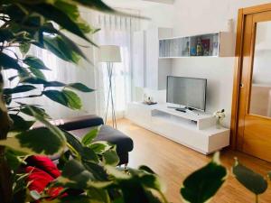 a living room with a television and a plant at GREAT APARTMENT CLOSE TO CENTER in Valencia