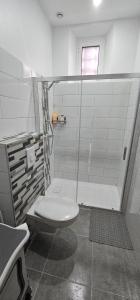 a white bathroom with a shower with a toilet at Maison Cosy in Lourdes