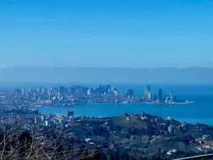 uma vista para uma cidade a partir de uma colina em Cottage "Sunset" em Batumi