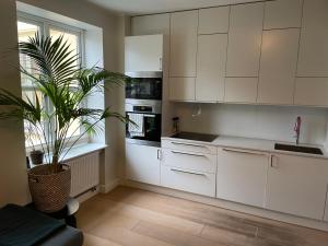 a kitchen with white cabinets and a potted plant at Strøken loftleilighet midt i Oslo. in Oslo