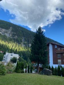 Ein Baum auf einem Feld neben einem Gebäude in der Unterkunft Studio magnifique avec terrasse spacieuse Loèche-les-Bains Vacances in Leukerbad