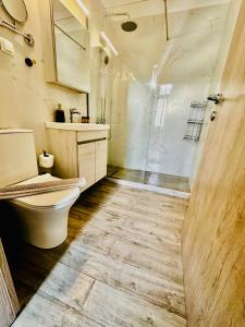 ein Bad mit einem WC und einer Dusche in der Unterkunft Travelers Luxury Suites, Studios & Apartments in Ágios Rókkos