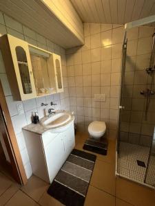 a bathroom with a sink and a toilet and a shower at Relax Apartment in Krumbach