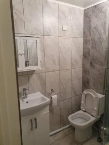 a bathroom with a toilet and a sink and a mirror at Honicombe Valley Lodge 23 Hot Tub Lodge in Gunnislake