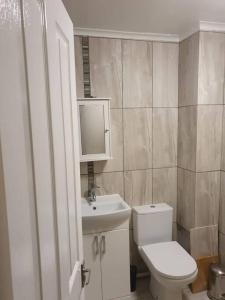 W łazience znajduje się toaleta, umywalka i lustro. w obiekcie Honicombe Valley Lodge 23 Hot Tub Lodge w mieście Gunnislake