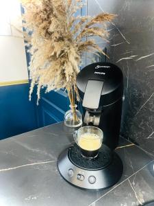 - une cafetière assise sur un comptoir avec un bol de nourriture dans l'établissement Studio Royal Saint-Omer Centre, à Saint-Omer