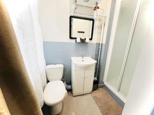 La salle de bains est pourvue de toilettes et d'un lavabo. dans l'établissement Studio Royal Saint-Omer Centre, à Saint-Omer