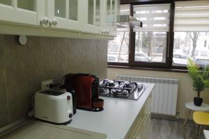 a kitchen with a stove and a toaster on a counter at Helia Apartment in Galaţi