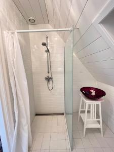 uma casa de banho com um chuveiro e um banco no sótão em De Consistorie em Giethoorn