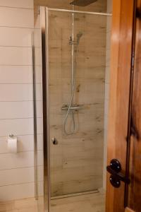 a shower with a glass door in a bathroom at Agroturystyka Łączka in Harasiuki