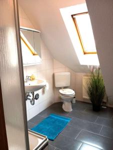 a bathroom with a toilet and a sink and skylights at Ferien- und Monteurswohnung Köthen/Reinsdorf in Zörbig