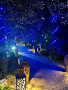 une passerelle avec des lumières bleues dans un parc la nuit dans l'établissement villa sophie, à El Jemʼa Ghemat